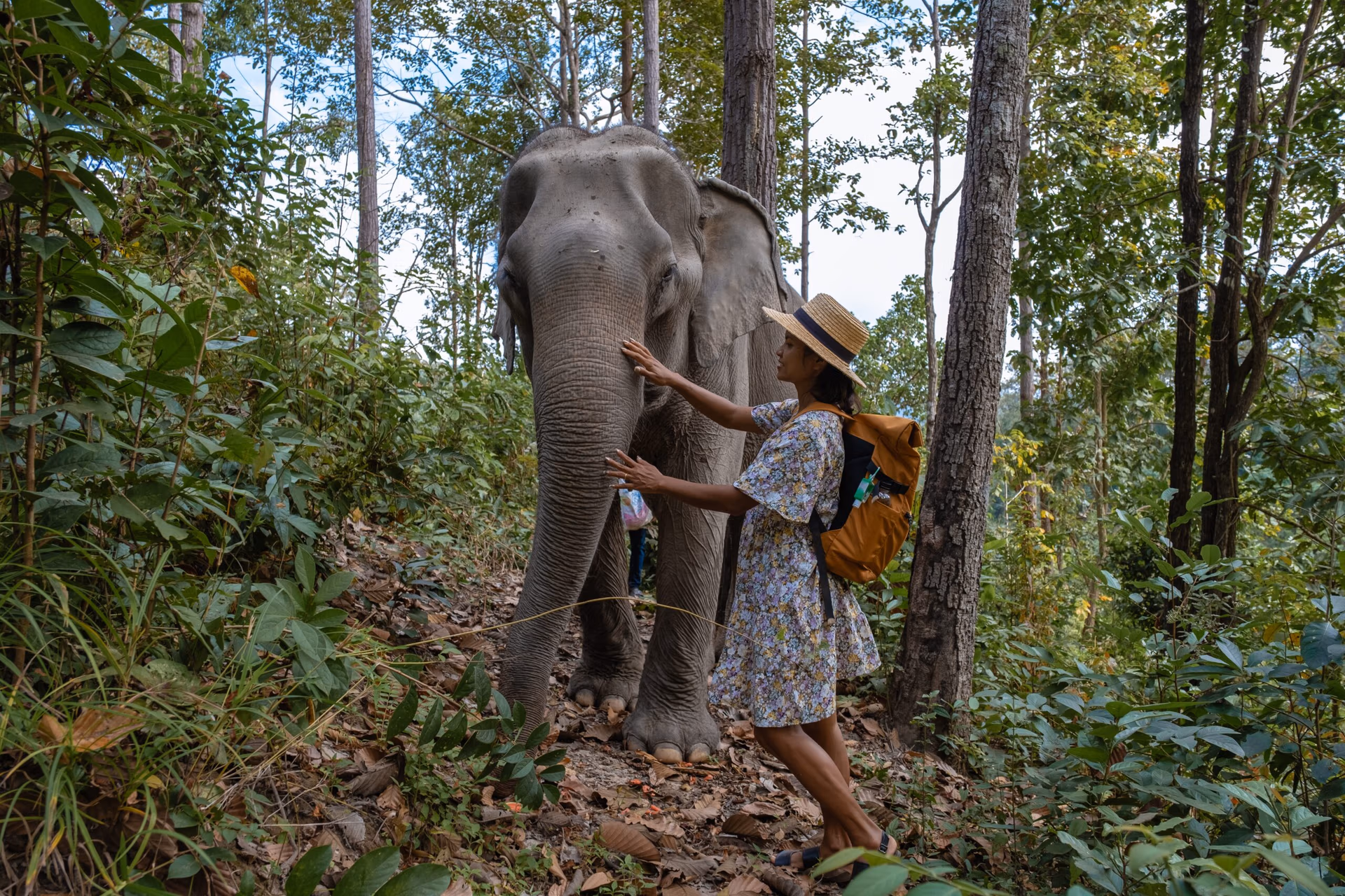 Ethical Elephant Keepsakes