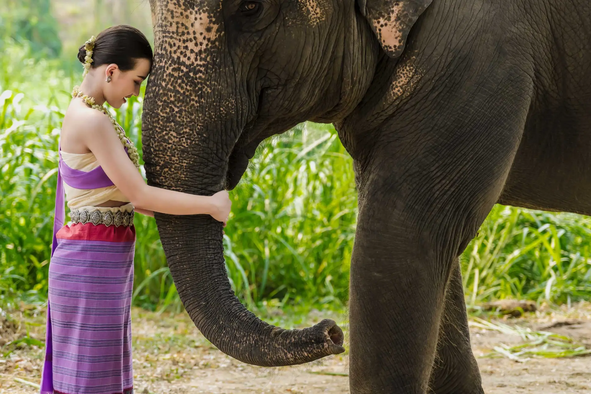 Ethical Elephant Sanctuary