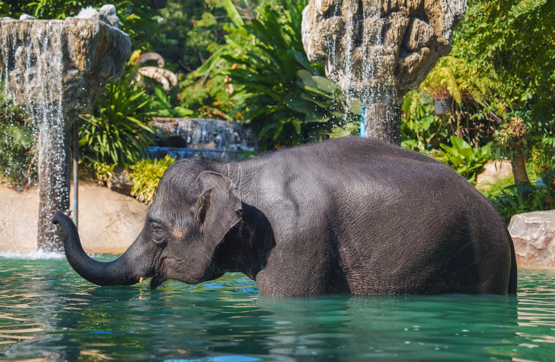 Ethical Wildlife
