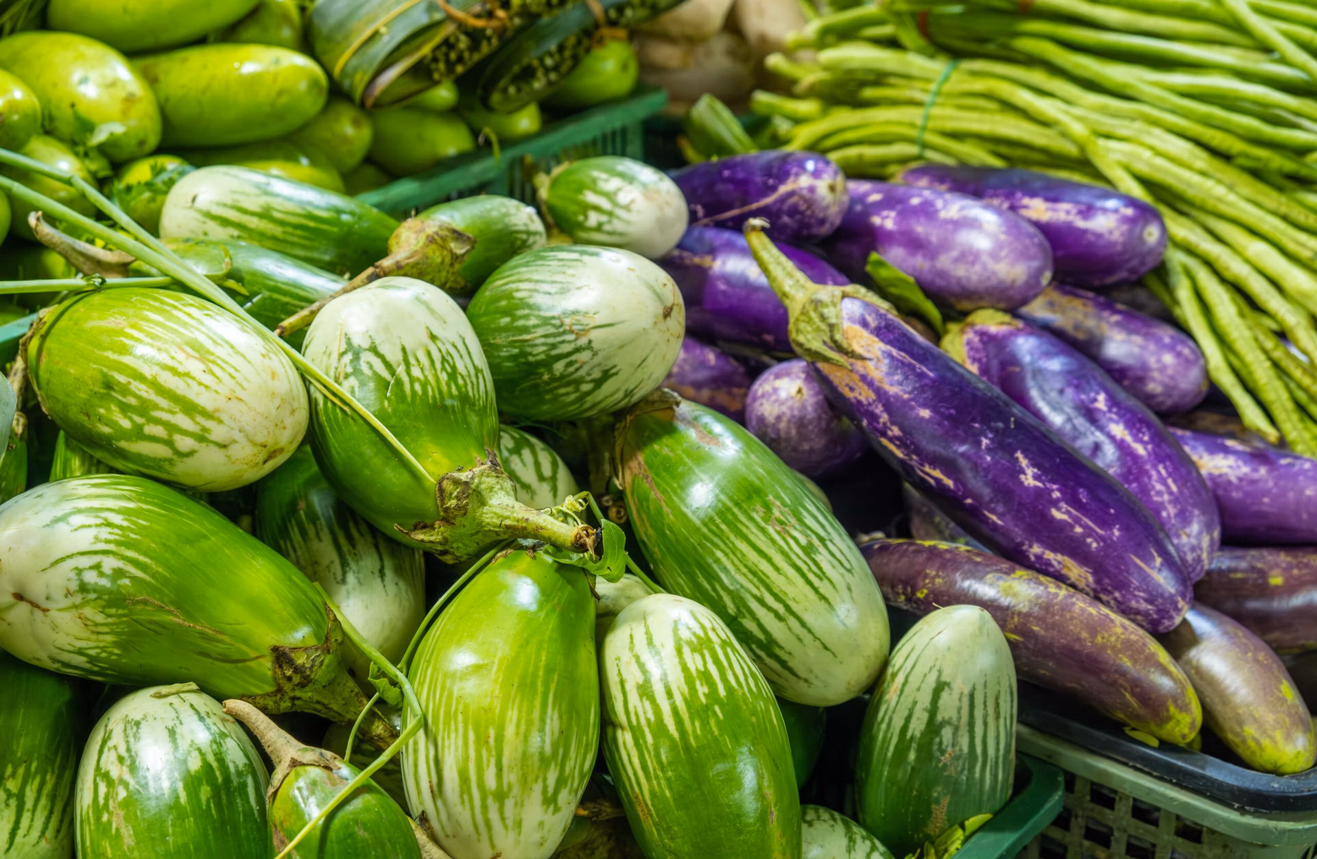 Organic Farming